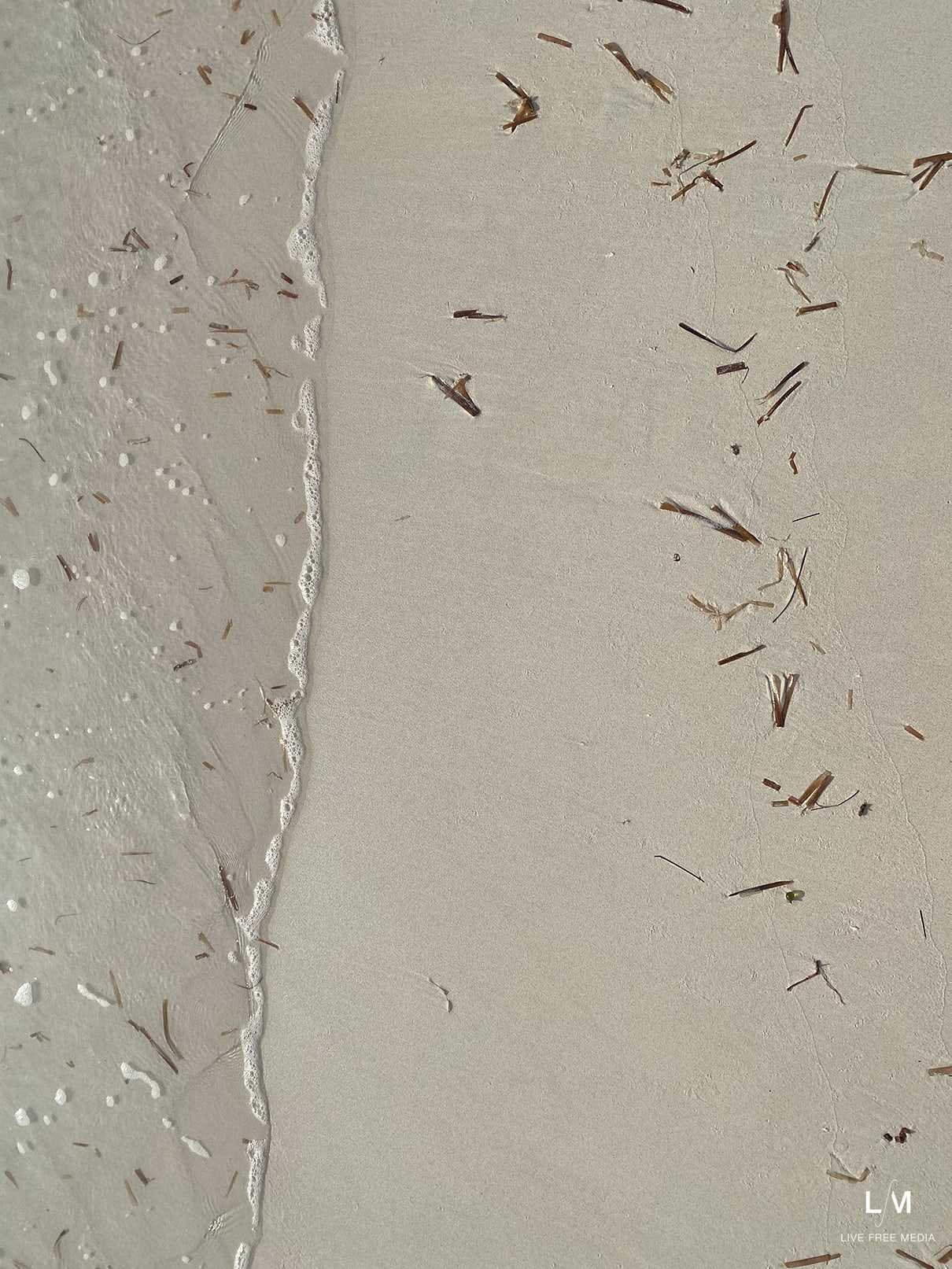 Bahamas beach debris